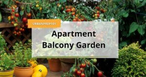 apartment balcony garden