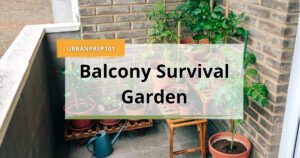 The Critical Guide to Creating a Balcony Survival Garden That Thrives