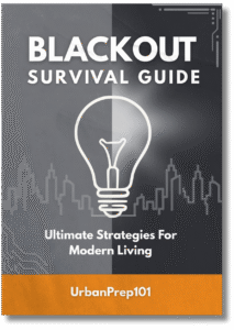 Blackout Survival Guide Cover